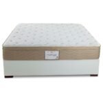 Platinum Memory Foam Mattress